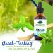Pure Mountain Botanicals Liquid Stevia Drops - Natural Sweetener - Concentrated Sugar Free Substitute Diabetic Friendly Ideal for Keto Low Carb and Vegan Diet Great Addition to Weight Loss Program 1 Fl Oz (Pack of 1) - Buy Online on GoSupps.com