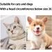 JVHLOV Cat Recovery Collar Adjustable Cat Cone Collar Cute Post-Surgery Neck Cone Protective Wound Healing Elizabethan Collars Soft Cat Cones After Surgery for Cats Kittens - Buy Online on GoSupps.com