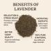 Premium Lavender 50g - 100% Pure Raw Wild Non-GMO Vegan - Promotes Relaxation Stress Relief & Sleep Quality - Ideal for Herbal Tea Bathing - Buy Online on GoSupps.com