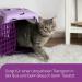 Feliway Travel Spray 20 ml - Buy Online on GoSupps.com