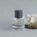 Unify - Eau de Toilette - 50ml - Summit 1.69 Fl Oz (Pack of 1) - Buy Online on GoSupps.com