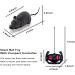 Remote Control Mouse Cat Toy HIMM Wireless Electronic RC Mouse Rat Pet Toy Running Wheel Plush Rat Chasing Prank Toy for Cats Dogs Pets Kids Novelty Gift (Black) - Buy Online on GoSupps.com