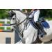 Buy Winderen Stirrups Knee Protect in Sapphire - Premium Equestrian Gear for Global Shipping - Buy Online on GoSupps.com