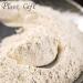Plant Gift 100% Pure Onion Powder 100G/3.25oz Non-GMO Powder No Filler No additives Natural Onion Flour Great Flavor for Drinks Adds Flavor and Taste Baking Ingredients 2UK-PO0084 - Buy Online on GoSupps.com