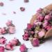 LWXLJMJZC- Dried Peach Blossoms Tea - Peach Flower Buds Herbal Blooming Tea 2.12oz/60g 60g Peach Flower Tea - Buy Online on GoSupps.com