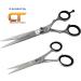 Createch Tools CT Hair Scissors Set - 6 Hair Cutting & 4 Trimming Barber Scissors, Razor Edge Blades for Professional & Home Use - 2-Piece Set - Buy Online on GoSupps.com