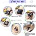 6 Color Art Painting Stencil Set - 84 Pieces - Ideal for Women, Men, and Kids - Buy Online on GoSupps.com