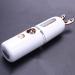 Wdesrgt New Mini USB Rechargeable Nano Hydrator Sprayer Women Beauty Instruments Home Use Humidifier Face Steamer Easy Install Easy to Use White - Buy Online on GoSupps.com