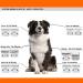 3Pack 10 Blade Dog Grooming Clipper Replacement Blades Compatible with Andis/Wahl/Oster Dog Clippers Detachable Ceramic Blade & Stainless Steel Blade 3 pieces #10 - Buy Online on GoSupps.com