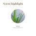 Buy Vetiver Essential Oil 5ml by Young Living | Grounding Nighttime Aroma | Calming Essential Oil for Kids | Focus & Awareness Support - Buy Online on GoSupps.com