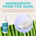 Sea Salt Surf Spray with Coconut Water for Beachy Waves & Texture (4 oz) 4 Fl Oz (Pack of 1) - Buy Online on GoSupps.com