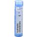 Boiron Hydrastis Canadensis 6C Homeopathic Medicine 80 Pellets for Postnasal Drip - 80 Count - Buy Online on GoSupps.com