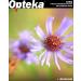 Opteka 0.35X Wide Angle Fisheye Lens for Canon Vixia Camcorders - Buy Online on GoSupps.com