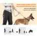 Hurluksi Dog Waist Lead - Hands-Free Heavy Duty Running Belt Leash with Bungee Retractable Design and Sponge Handle (Orange) - Buy Online on GoSupps.com