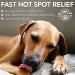 Vets Best Allergy Relief for Dogs - 250ml Spray | Fast-Acting Relief for Itchy Skin & Seasonal Allergies | Shop Internationally - Buy Online on GoSupps.com