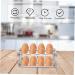 LABRIMP Fridge Egg Box Egg Carton Eggs Egg Plate Snow Cone Cups Clear Shelves Egg Stand Egg Tray Crisper re-usable Food Tray Black 22.3X10.1X8.9CM - Buy Online on GoSupps.com