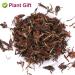 Premium Dried Magnolia Tea 40g - Edible Flower Herbal Tea | Fragrant Natural Health Benefits - Buy Online on GoSupps.com