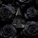 7Sce'nts Black Rose Unisex Perfume Long-Lasting Luxury Fragrance for Men & Women Eau de Parfum for Valentine's Day & Special Occasions 100ml (3.38 Fl Oz) - Buy Online on GoSupps.com