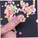 Mipcase 3200pcs Slice Nail Decoration Nail Decorations for Nail Fruit Slice Floral Decorations Clay Fruit Slice Flowers Decor Flower Ornaments Miniture Decoration Fruit Slices Love - Buy Online on GoSupps.com