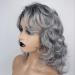 Buy European & American Short Curly Gray Ash Chemical Fiber Wig for Women | Headgear | Best Quality & Style - Buy Online on GoSupps.com