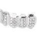 Hip Hop Teeth Brace Teeth Protection Hip Hop Teeth Charming Alloy for Halloween Party for Men for Concert for Hip Hop Fashion Shows for Women(Silver) - Buy Online on GoSupps.com