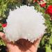 Natural Crystal Rough Crystal Natural Clear Quartz Crystal Cluster Minerals Great for Stone (Size : 300-400g) - Buy Online on GoSupps.com