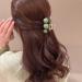 6 Pack Green Pearl Hair Claw Clamps - Non Slip Hair Barrettes for Women and Girls - Medium Small Sizes - Buy Online on GoSupps.com