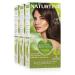 Natureint Biobased |Hair color oohne ammoniak |4n nature chestnut brown |High proportion of natural ingredients3 pack |510 ml 4n.Nature chestnut brown 170 ml (3 pack)