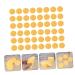 FRCOLOR 100 Pcs Wood Pulp Sponge Powder Puff | Premium Cotton Makeup Applicators for Flawless Finish - Buy Online on GoSupps.com