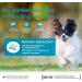 Wellness Core Reward+ Salmon Dog Treats | Grain-Free Promotes Healthy Skin & Shiny Fur | 170g Pack - Buy Online on GoSupps.com