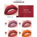 INTEROOKIE 21 Colors Matte Liquid Lipstick Lip Gloss Stain Resistant Non-Fade Lip Icing (18#) - Buy Online on GoSupps.com