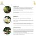 Kerala Ayurveda Myaxyl Cream - Soothing Relief for Stiff Joints | Improve Flexibility & Circulation | 0.70 Oz - International Shipping Available - Buy Online on GoSupps.com