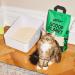 KatKin Scoop Planet Tofu Cat Litter - 100% Biodegradable & Non-Toxic - 4.5kg Bag - Buy Online on GoSupps.com