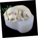 IMIKEYA Dog Fondant Molds 2pcs Mold White Cake 3D Silica Gel Decorate Baking Fondant Mold 10.8X8.5X5CMx2pcs - Buy Online on GoSupps.com