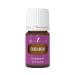 Cardamom 5 ml by Young Living Essential Oils