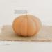 Halloween Aromatherapy Candles | Fall Pumpkin Natural Soy Candles for Home & Gifts - Buy Online on GoSupps.com