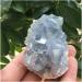 Balance Natural Blue Celestite Crystal Cluster Specimen for Decoration Lucky Stone Crystal Cluster (Size : 150-190g) - Buy Online on GoSupps.com