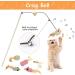 Shop Sunshine Smile Cat Toys Set - Interactive 7-Part Pack for Happy Pets | International Shipping Available - Buy Online on GoSupps.com