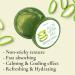 EUNYUL PACK OF 3 Aloe Vera Soothing Gel 10. 14 fl. oz. / 300ml X 3EA Korean Skincare Body Care, After Sunburn 10.14 Fl Oz (Pack of 3) - Buy Online on GoSupps.com