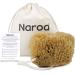 Naroa Unbleached Grass Sea Sponge Natural Exfoliating | Body Puff for Adults Shower and Bath Mediterranean Scrub with Rope Small