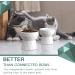 Frewinky Ceramic Cat Bowls - Anti Vomiting Raised Cat Food & Water Bowl Set - 13.5 Oz Pure White - Buy Online on GoSupps.com