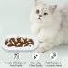 Upgraded Slow Feeder Cat Bowl | Interactive Bloat Stopper | Durable & Prevents Obesity | White Fish Bone Design - Buy Online on GoSupps.com