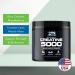 STS Creatine 300g - 100% Pure Creatine Monohydrate Powder for Muscle & Stamina - Pre & Post Workout Supplement - 60 Servings with Scoop - International Shipping Available - Buy Online on GoSupps.com
