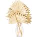 Vickerman Natural Botanicals 20" Natural Palm Sun Stem Real Preserved Foliage Stems Includes 12 Stems Per Pack - Buy Online on GoSupps.com