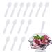 100 Pcs 2.95 Inch Disposable White Plastic Mini Spoons Tasting Spoons Small Dessert Spoons Ice Cream Spoons for for Crafts Tasting Sampling and Parties (100 Pcs 2.95 in)