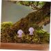 BESPORTBLE 2pcs Crystal Mushroom Mushrooms Dollhouse Mushroom Stone Decor for Flowerpot Crystal Stone Decorate - Buy Online on GoSupps.com