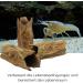 Spawning Cave for Fish & Crabs - Realistic Tree Trunk Aquarium Decoration | International Shipping - Buy Online on GoSupps.com