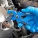 Draper 99746 Hose Cutter (3-14mm) - Buy Online on GoSupps.com