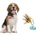 WonderPup 50 Pack Cat & Dog Collar Bells - Multiple Colors - Loud & Strong Training Charm Accessories - Small & Multi-colored - Buy Online on GoSupps.com