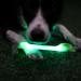 Laroo Safety LED Light Band for Dogs & Cats - Waterproof Easy to Attach Bright Green Flashing Light for Outdoor Sports - Buy Online on GoSupps.com
